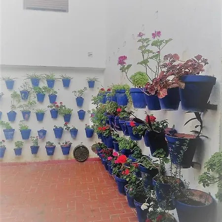 Plaza Mayor 2 * 코르도바